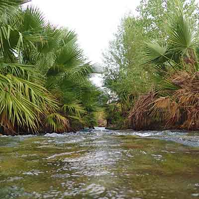 Muddy River