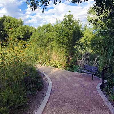 Trail lined with trees and plants at Warm Springs Natural Area