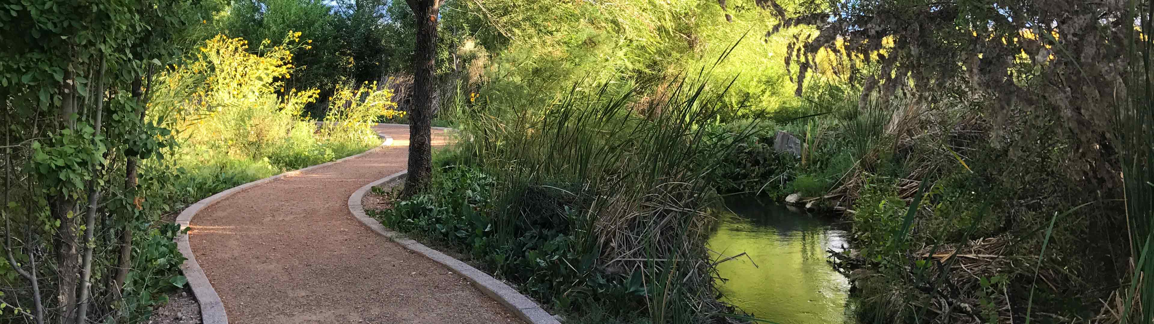 Shaded trail pathway next to running stream at Warm Springs Natural Area